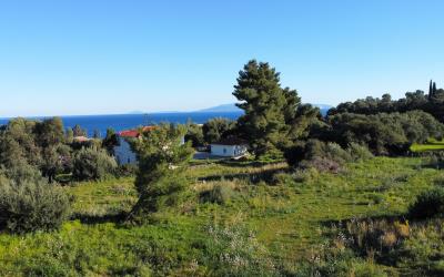 Livathos-Amazing-Sea-Views-Plot-11