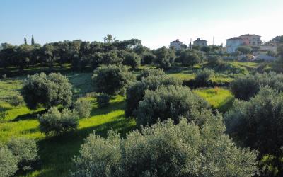 Livathos-Amazing-Sea-Views-Plot-14