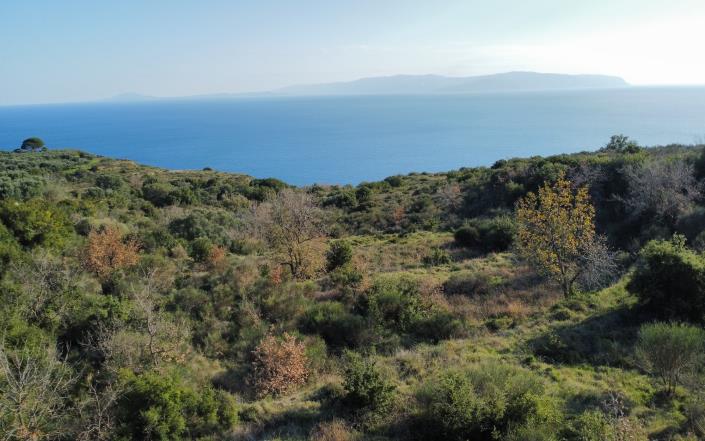 Image No.4-Plot for sale