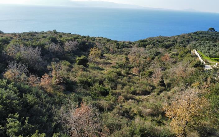 Image No.7-Plot for sale