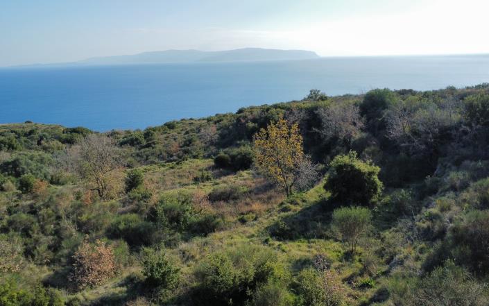 Image No.13-Plot for sale