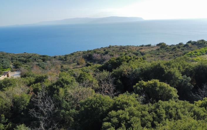 Image No.12-Plot for sale