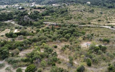 Agonas-Olive-Grove-with-Sea-Views-For-Sale-2