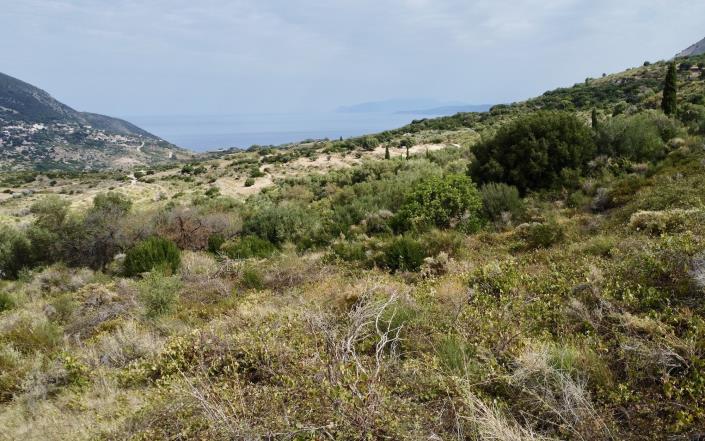 Agonas, Land