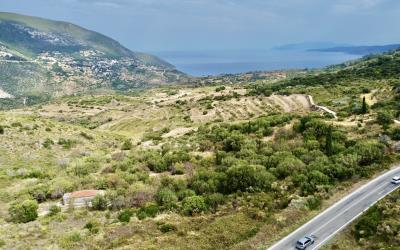 Agonas-Olive-Grove-with-Sea-Views-For-Sale-4