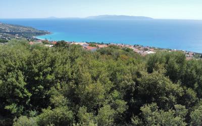 Ano-Vlachata-Exquisite-Plot-14