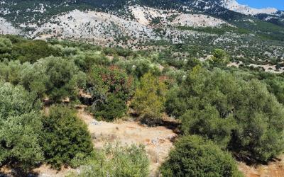 Vlachata-Charming-Panoramic-Plot-13