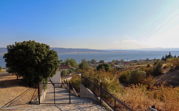 Image No.11-4 Bed Vineyard for sale