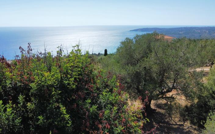 Image No.7-3 Bed Villa for sale