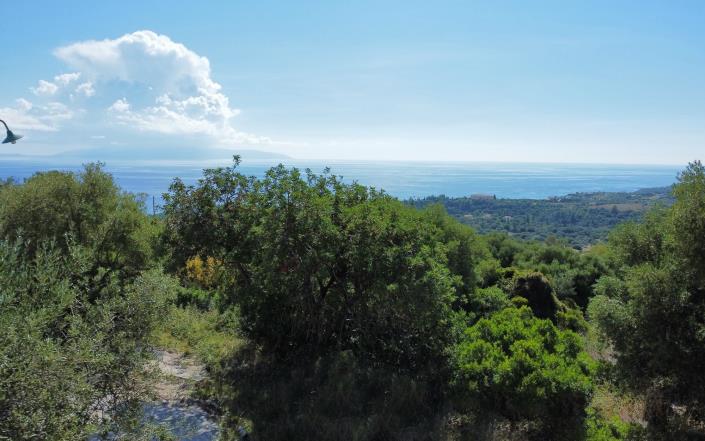 Image No.7-Plot for sale