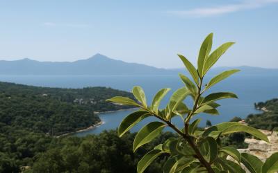 Meganisi-Exquisite-Plot-For-Sale-2