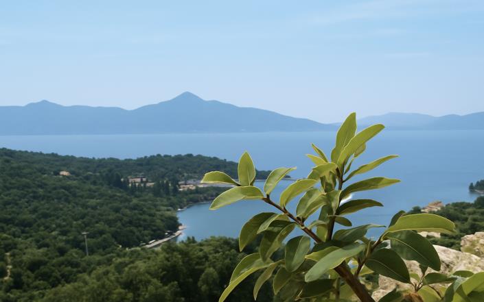 Image No.2-Plot for sale