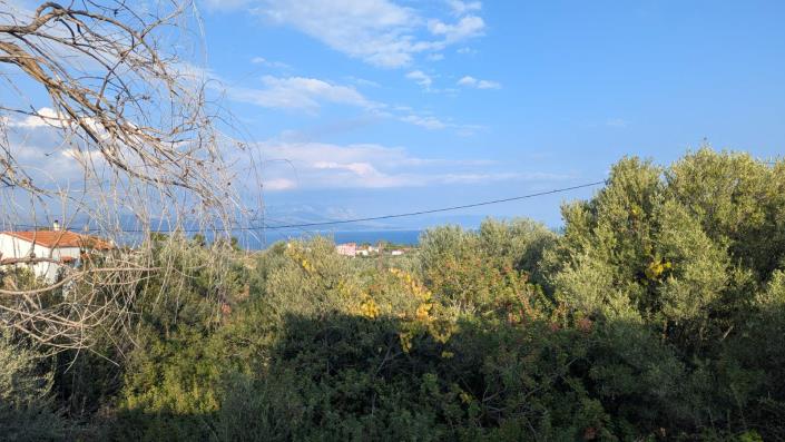 Image No.9-2 Bed House/Villa for sale