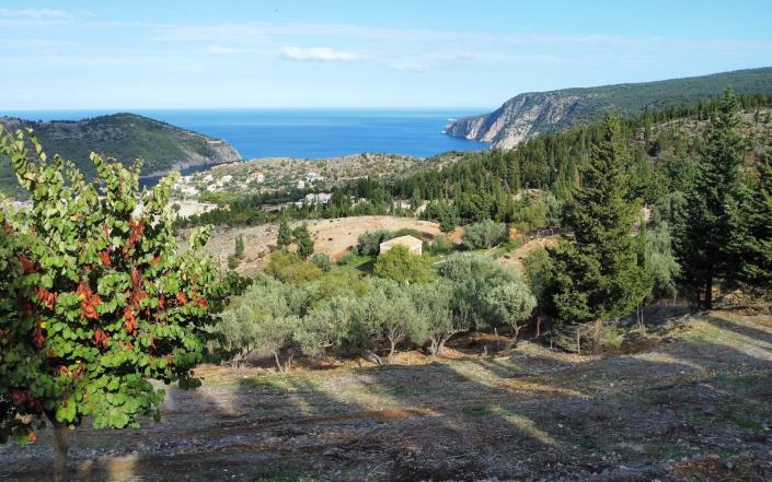 Image No.6-Terrain à vendre à Assos