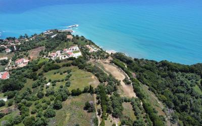 Pessada-Amazing-Coastal-Plot-1