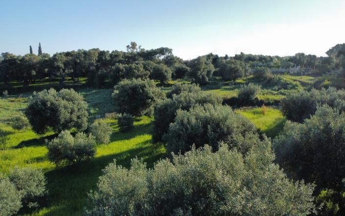 Image No.10-2 Bed House/Villa for sale