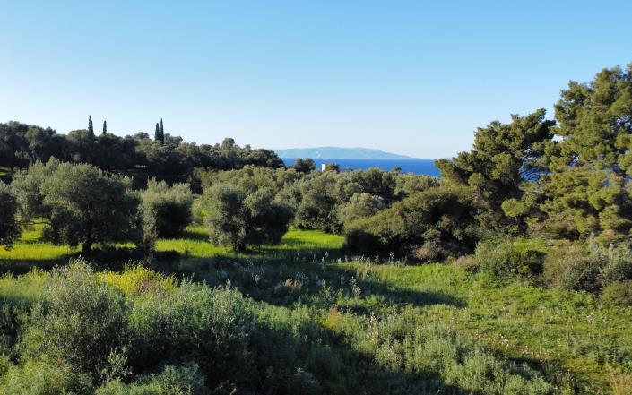 Image No.11-2 Bed House/Villa for sale