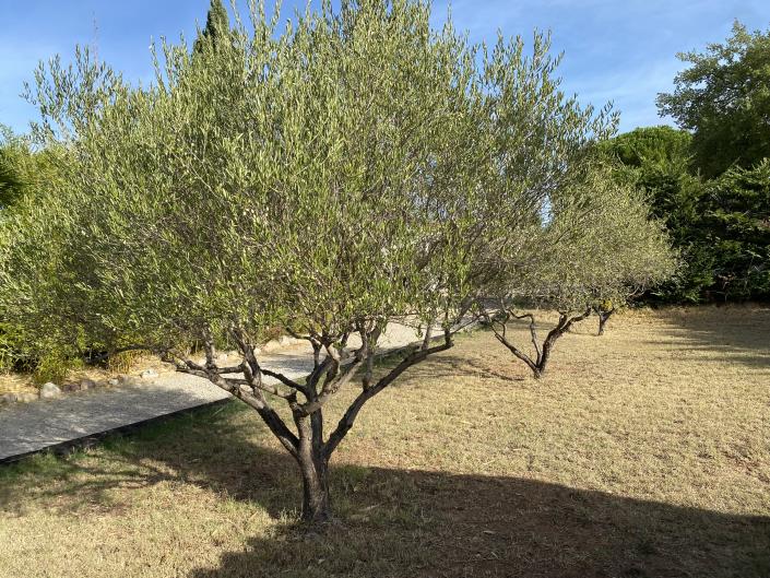 Image No.8-4 Bed Villa / Detached for sale