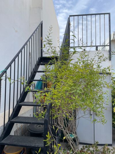 Image No.3-11 Bed Apartment for sale