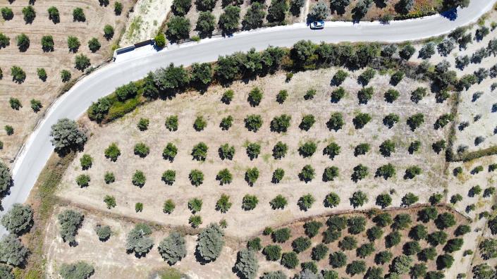 Image No.7-Plot for sale