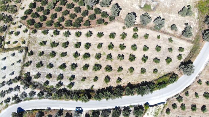 Image No.8-Plot for sale