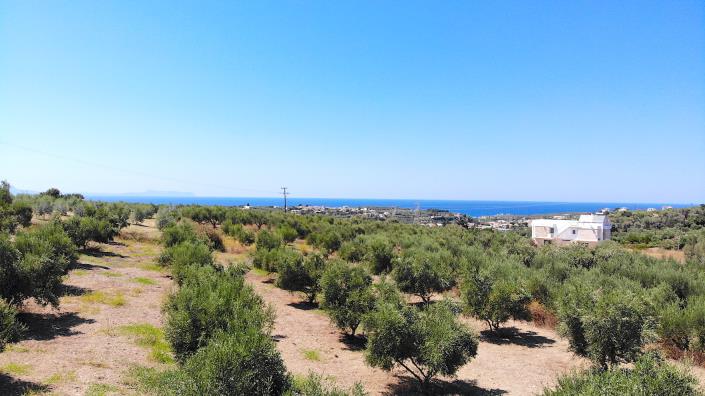 Image No.9-Plot for sale