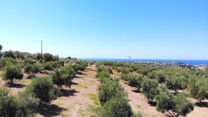 Image No.10-Plot for sale