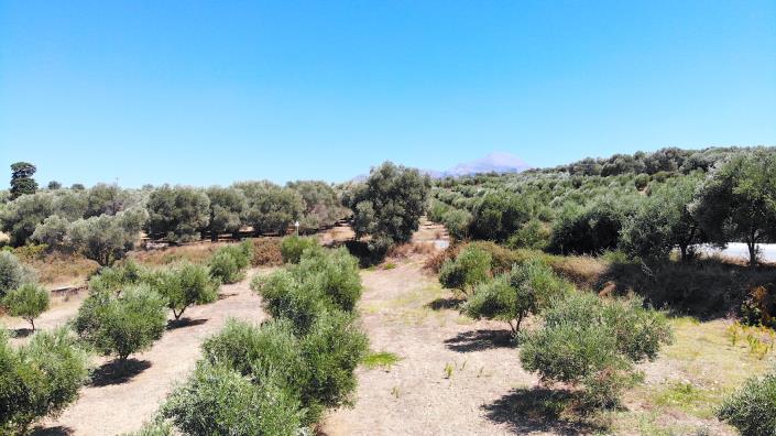 Image No.14-Plot for sale