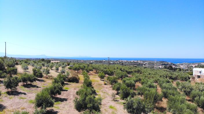 Image No.15-Plot for sale