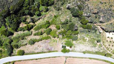 DJI_0904