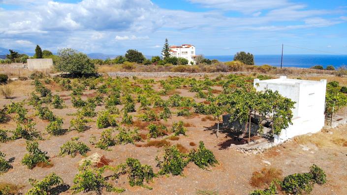 Image No.7-Terre à vendre à Rethymnon