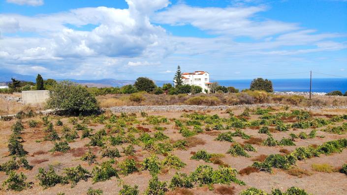 Image No.8-Terre à vendre à Rethymnon