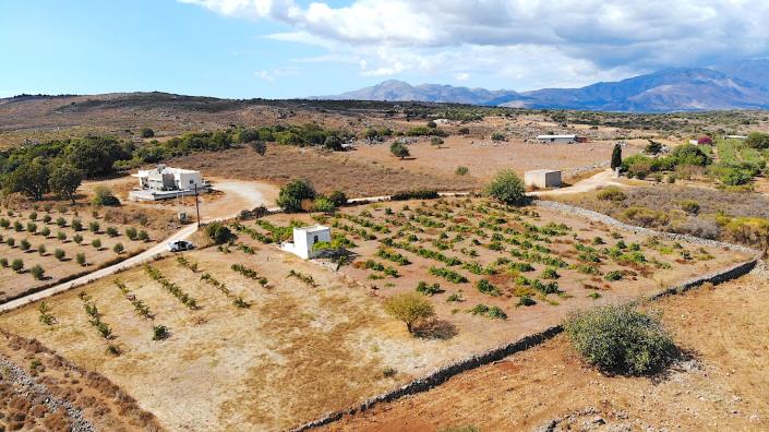 Image No.12-Terre à vendre à Rethymnon