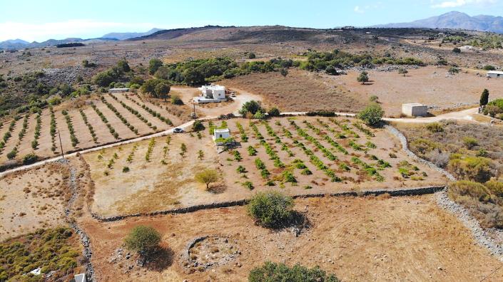 Image No.15-Terre à vendre à Rethymnon