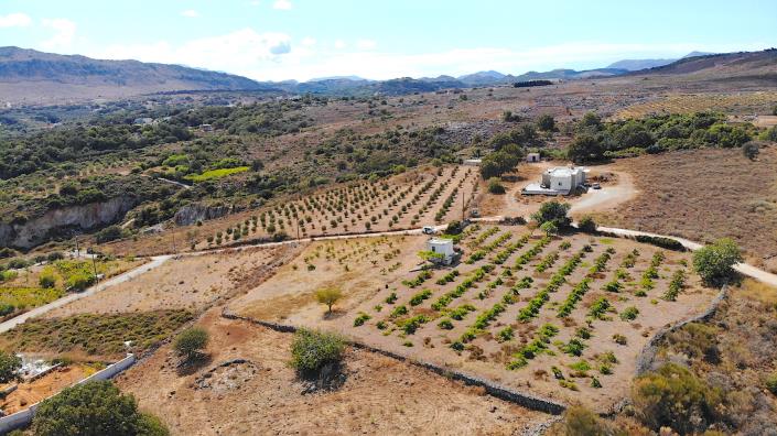 Image No.16-Terre à vendre à Rethymnon