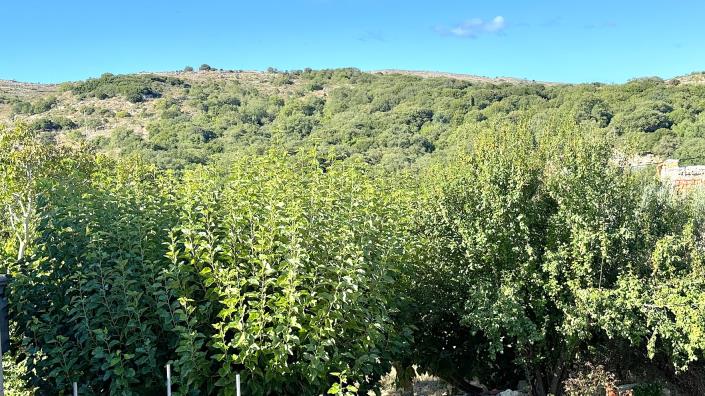 Image No.12-Maison de village de 3 chambres à vendre à Rethymnon