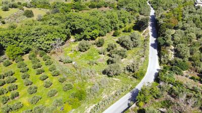 DJI_0599