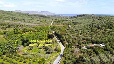 DJI_0602