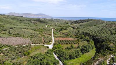 DJI_0607