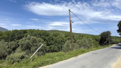 IMG_8005