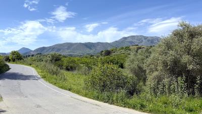 IMG_8006