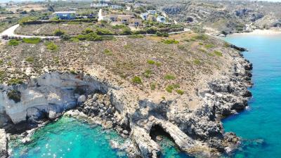 DJI_0818