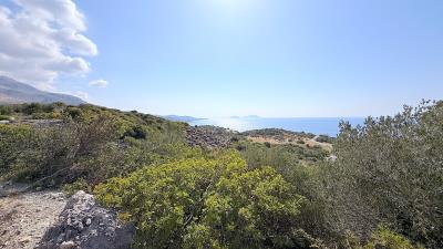 IMG_0598