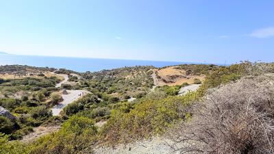 IMG_0600