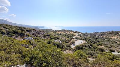 IMG_0599