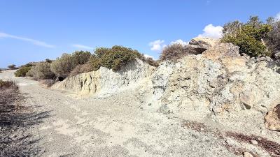IMG_0601