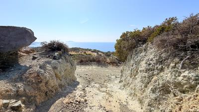 IMG_0602