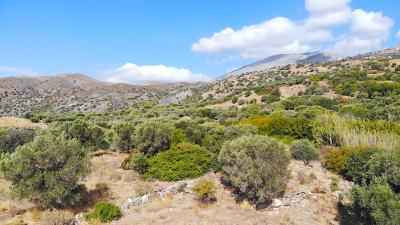 DJI_0033