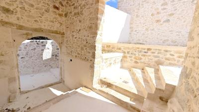 IMG_0551