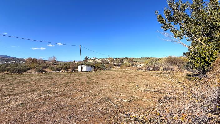 Image No.8-Terrain à vendre à Pigi